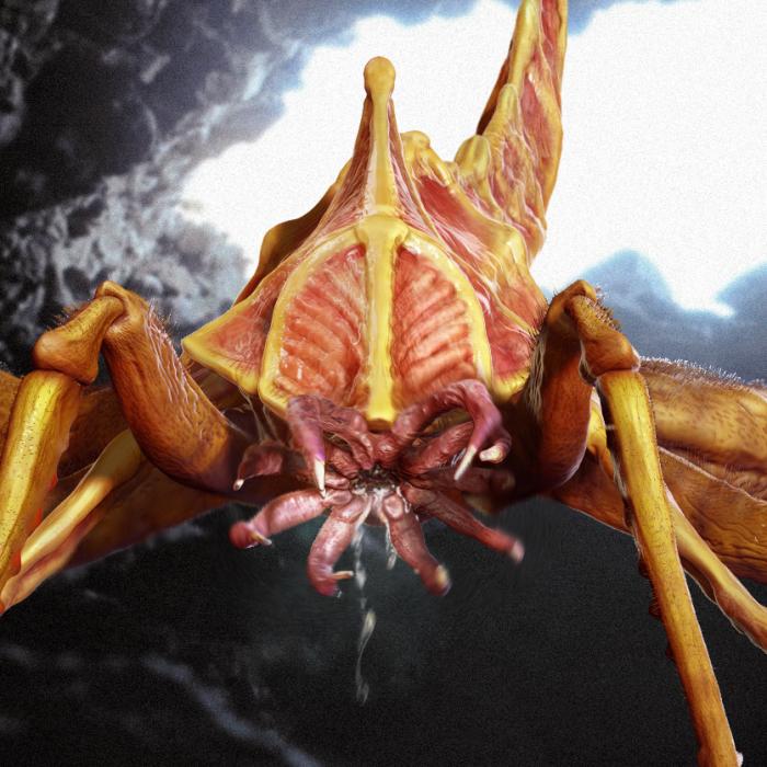 ZBrush Einführungskurs